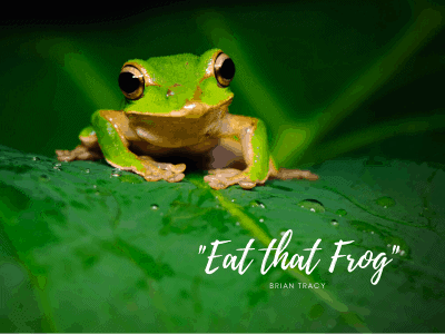 Ein hellgrüner Frosch sitzt auf einem großen Blatt, das mit Wassertropfen bedeckt ist. Unten rechts steht in weißer Schrift der Text "Eat that Frog" von Brian Tracy, der die Kunden von Jobcoaching München dazu anregt, ihre größten Aufgaben zuerst anzugehen.
